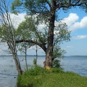 Уходово. Отдых на островах. Московское море. Иваньковское водохранилище